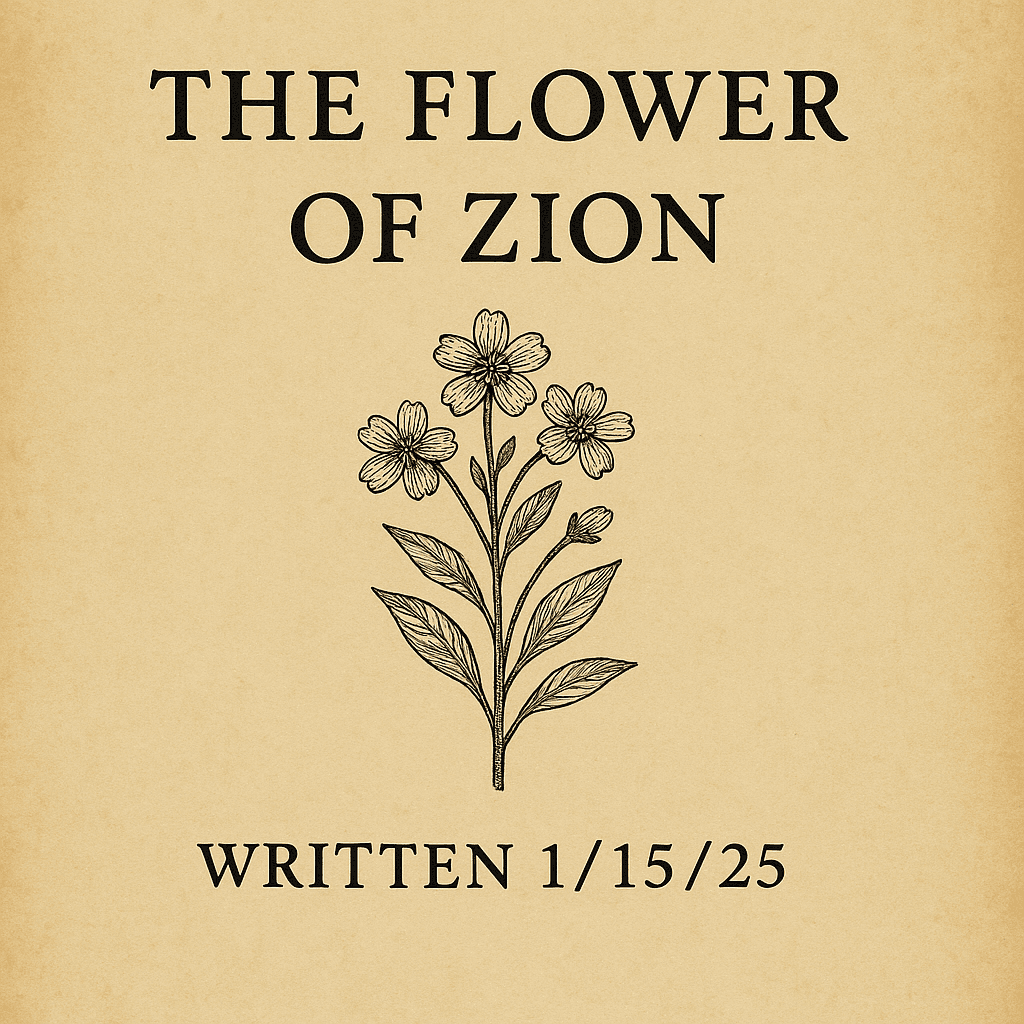 Cover Image for Second Letter to The Israelis - The Flower of Zion